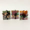 Bloom and Bough Soap Bundle