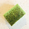 Green speckled bar of soap
